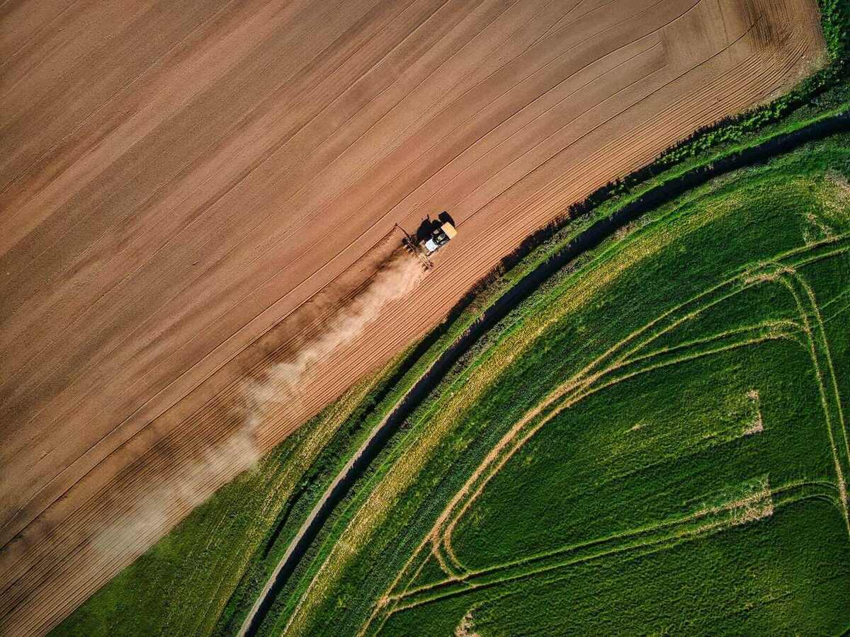 Vista aérea de lavouras brasileiras ao entardecer